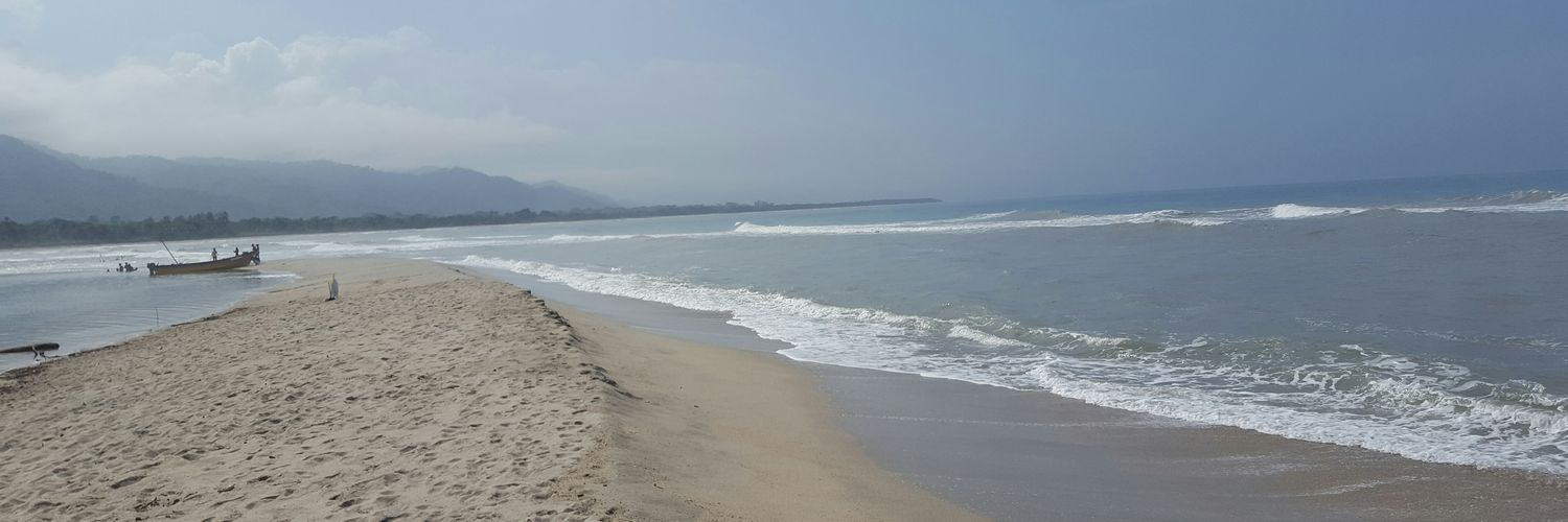 monitahansel's profile banner image