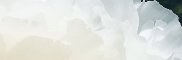 __riwa's profile banner image