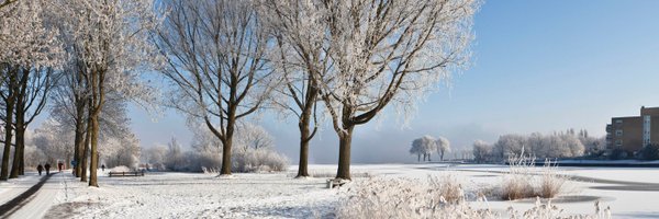 ShortWire Profile Banner