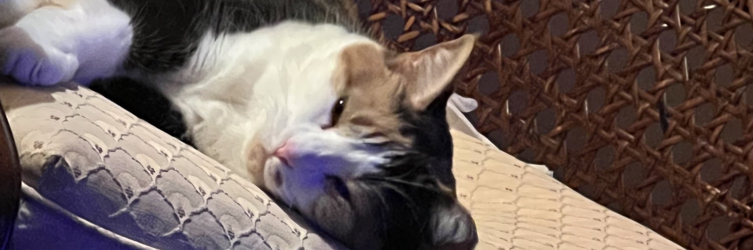 keeplilonessafe's profile banner image