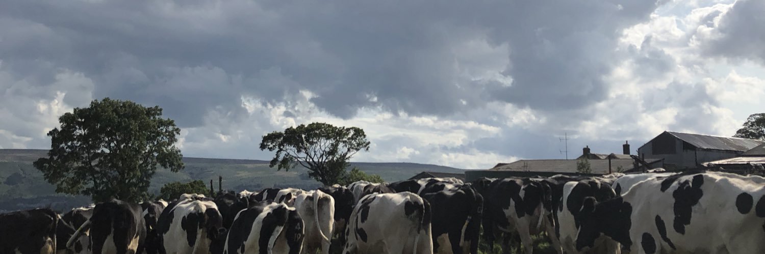 DarcyTrowers's profile banner image