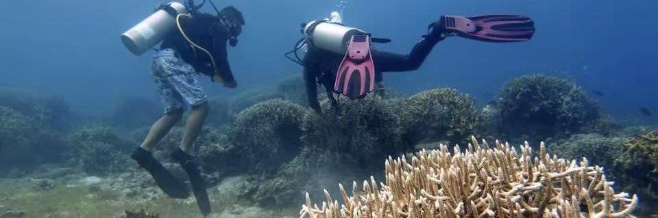 Imelda V. Abano banner