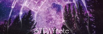 vnRURIstraynote's profile banner image
