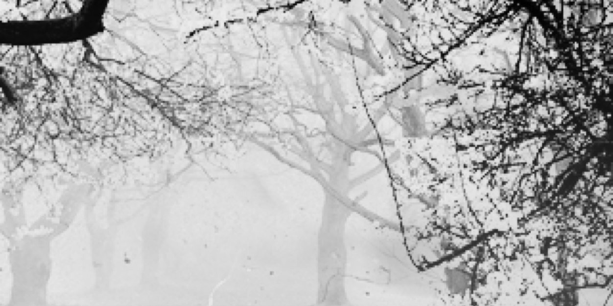 kadijah1999's profile banner image
