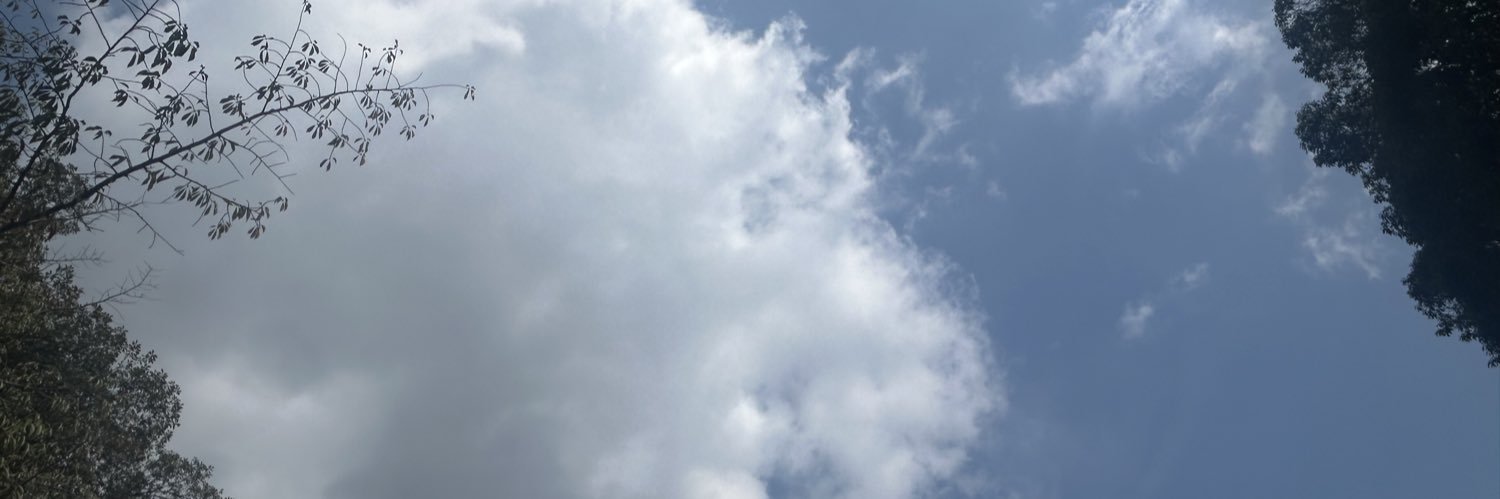 water888dp's profile banner image