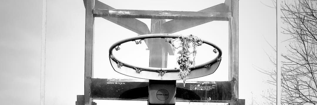 Mani Schlisser banner