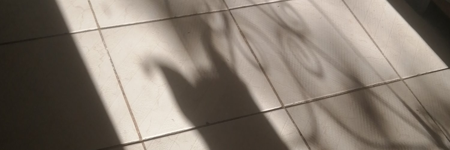 MoniJBC's profile banner image