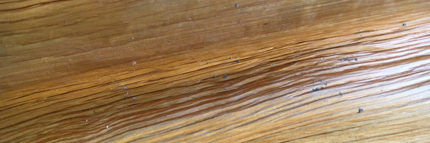 debbiehouse's profile banner image