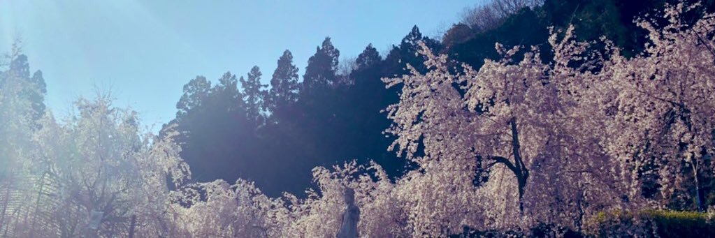 j_t_a12's profile banner image