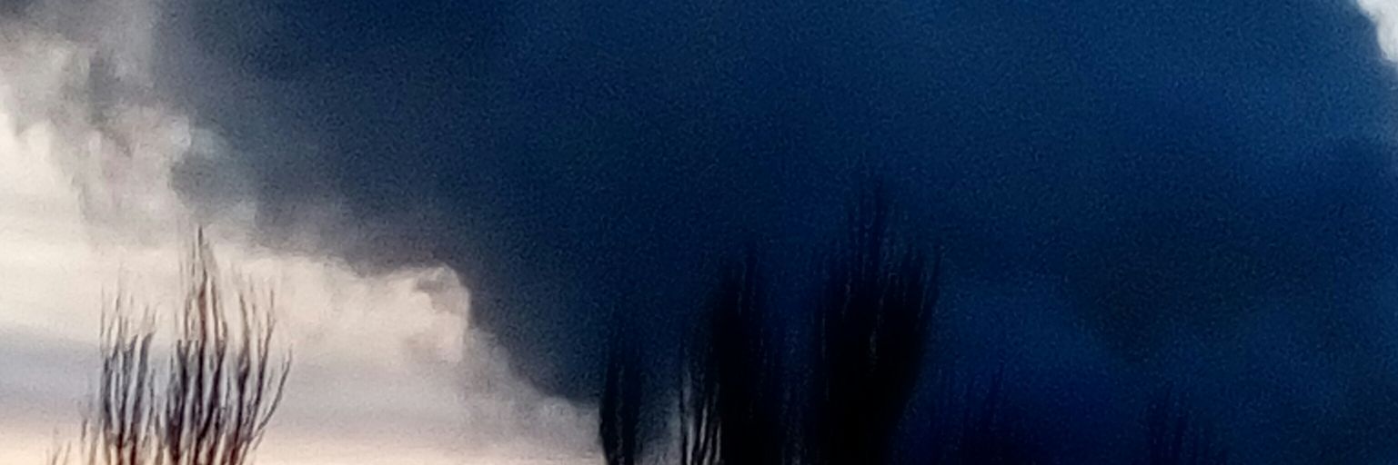 @фогот banner