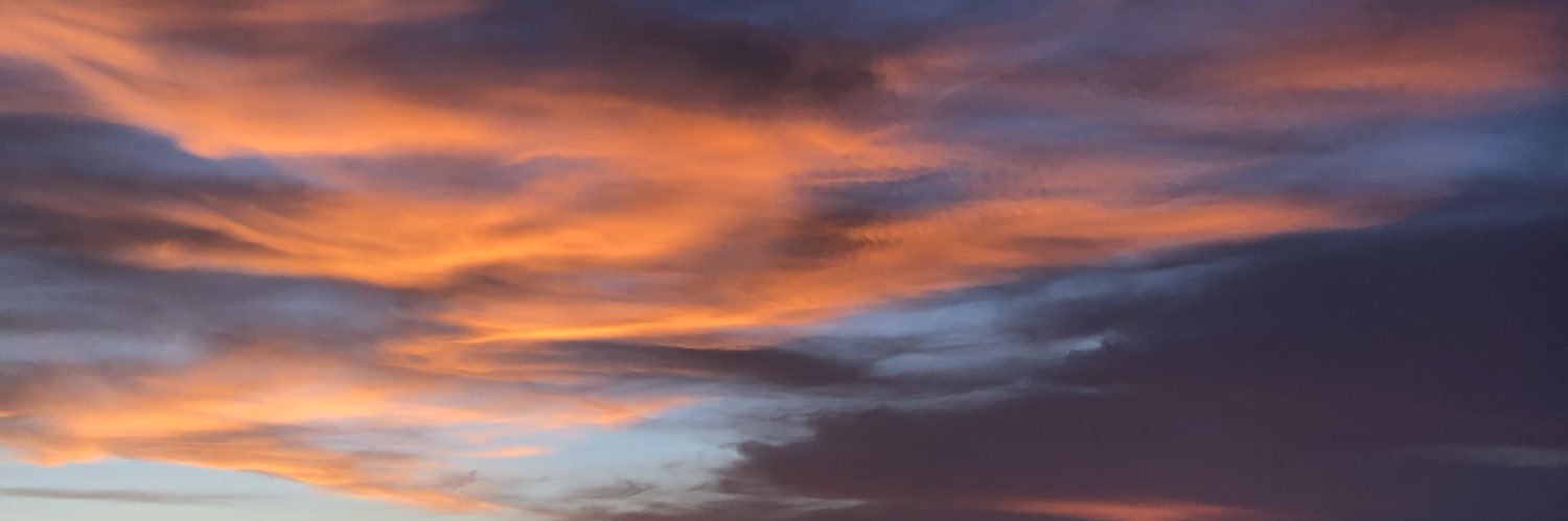 recallsyf's profile banner image