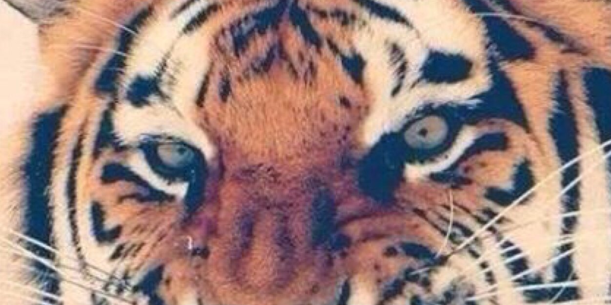zoee_97's profile banner image