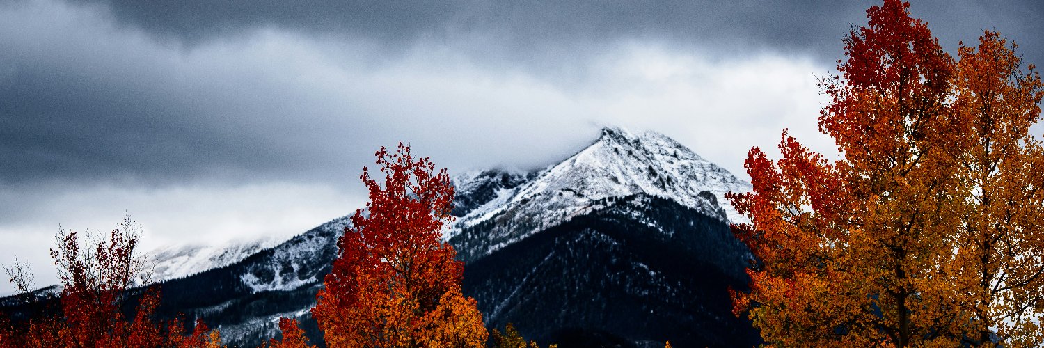 Jessica Zanza banner