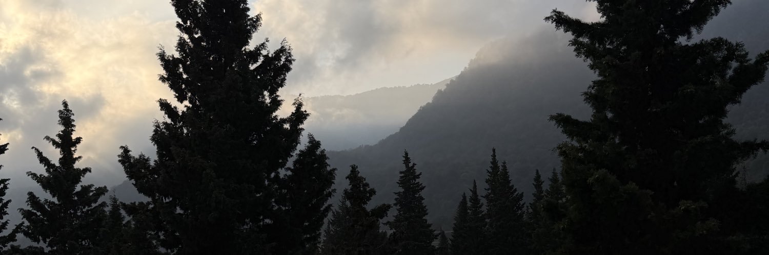 firulgic's profile banner image