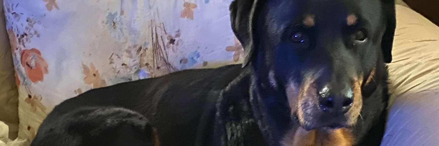 remdrper's profile banner image