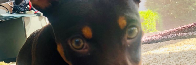 Jess_Faigenbaum's profile banner image
