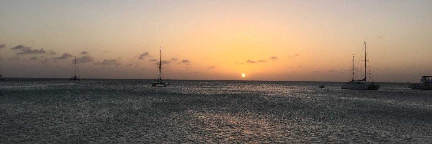 emilucchetti's profile banner image