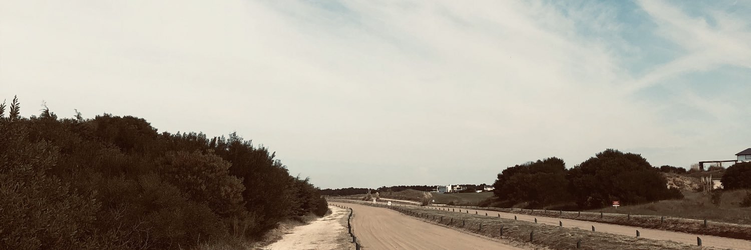BianRebussone's profile banner image