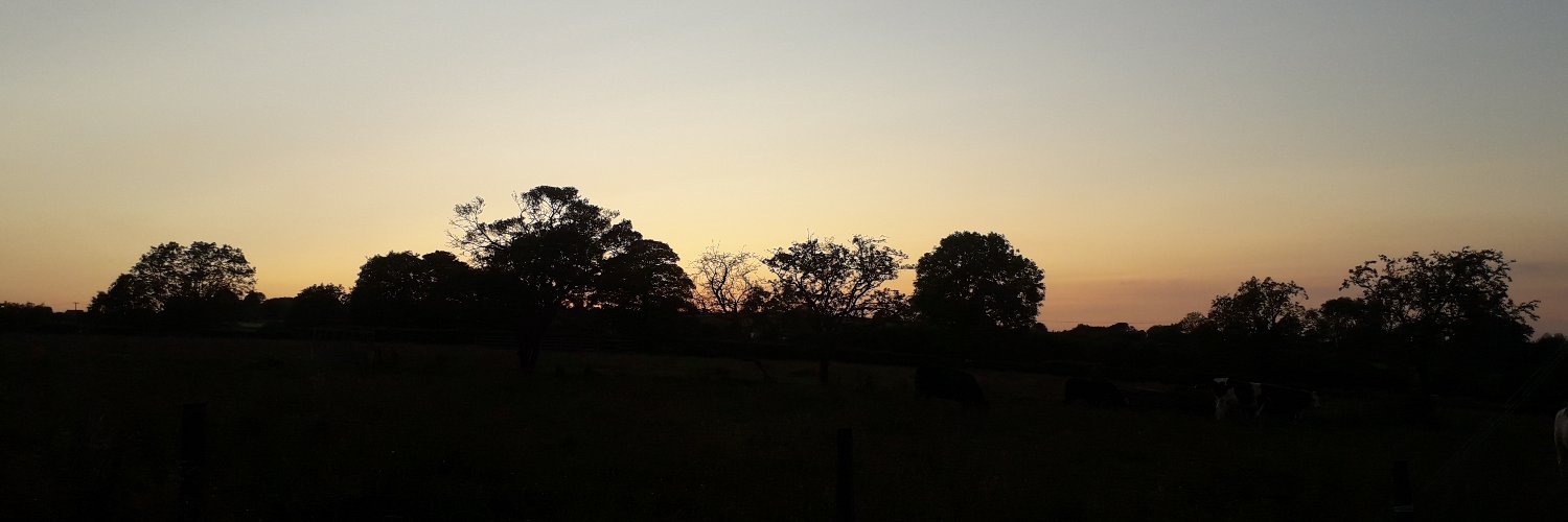 CathRawas's profile banner image