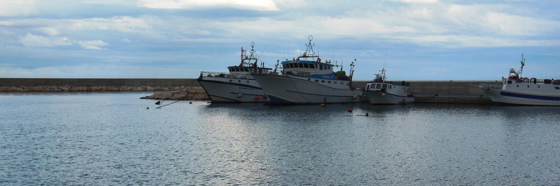 giusy fiorentino  banner