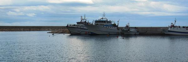 giusyeffe Profile Banner