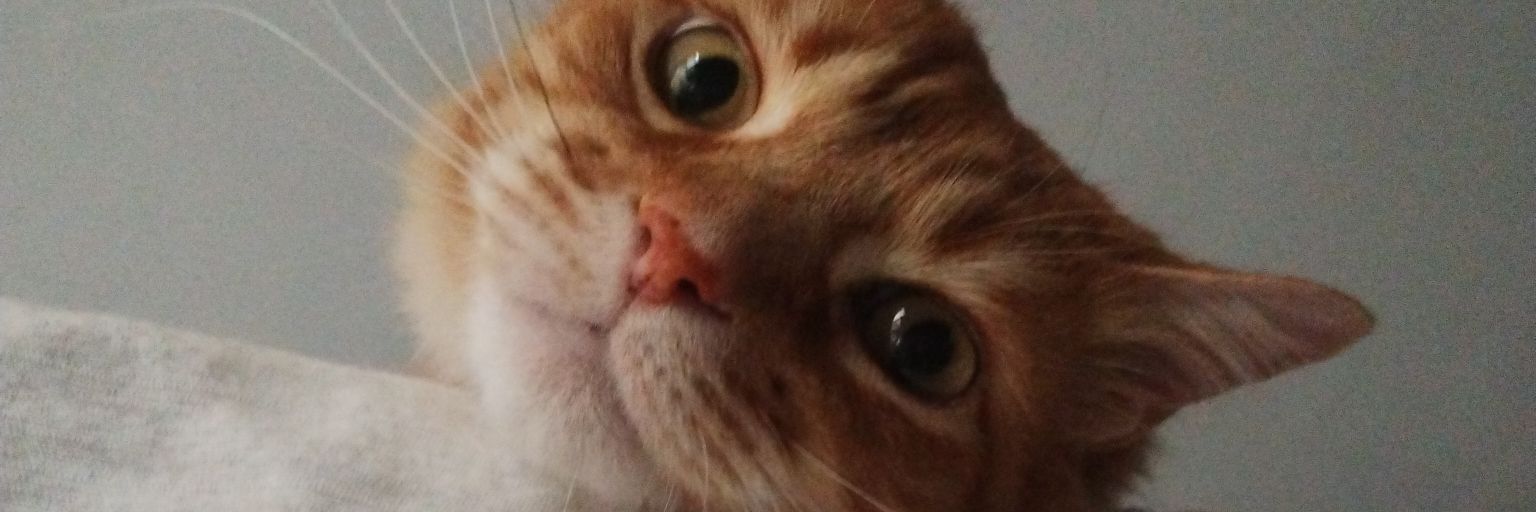 maarivera2's profile banner image