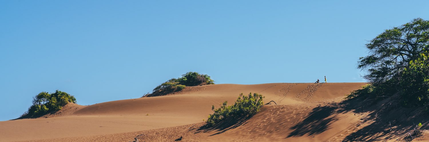 mar_d_b's profile banner image