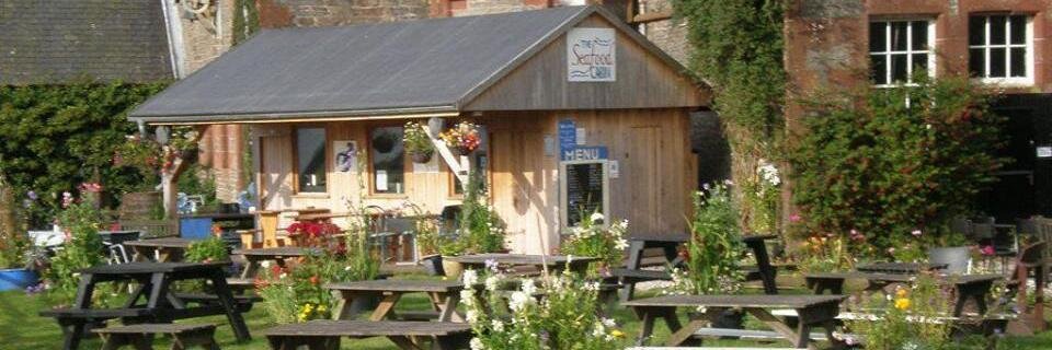 SkipnessSeafood's profile banner image