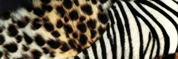 SadisticFlowers banner