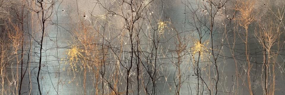 AFA Corredor del Henares banner