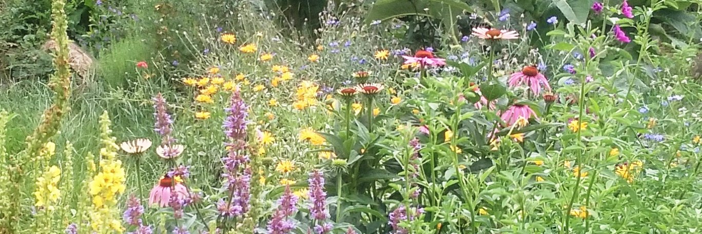 HeddyVeltkamp's profile banner image