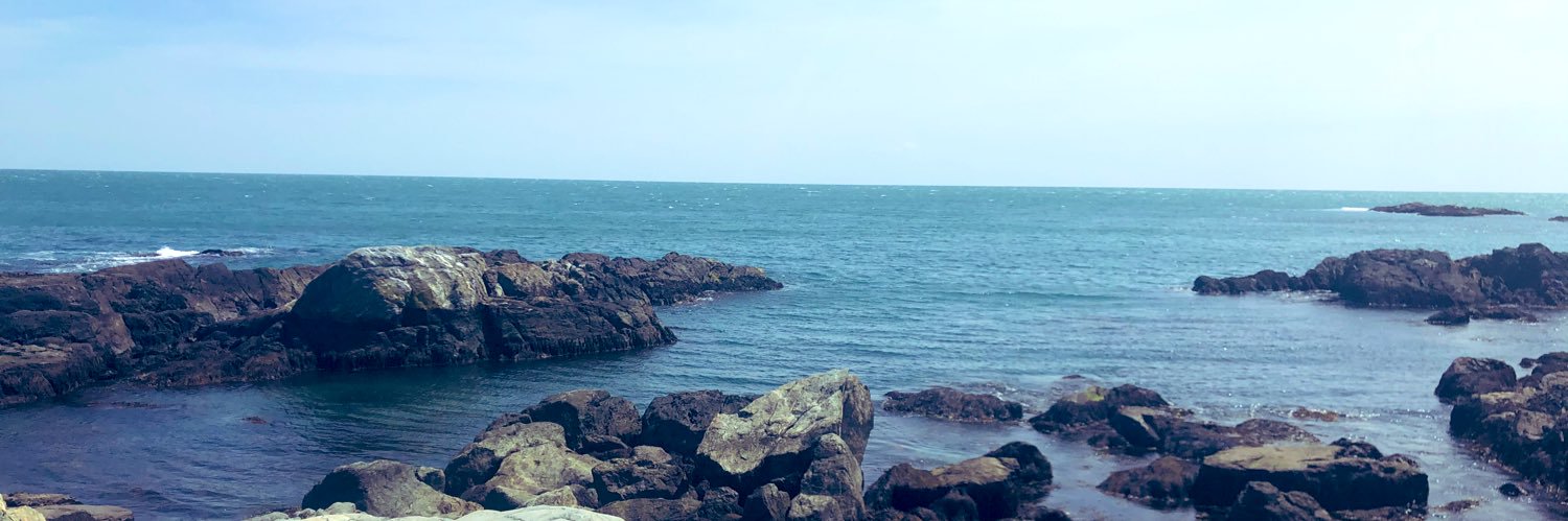 Brooke Ramsier banner