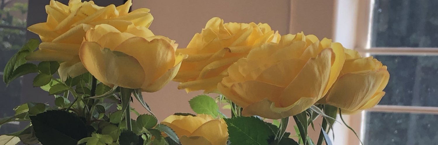 ancientwisdom's profile banner image