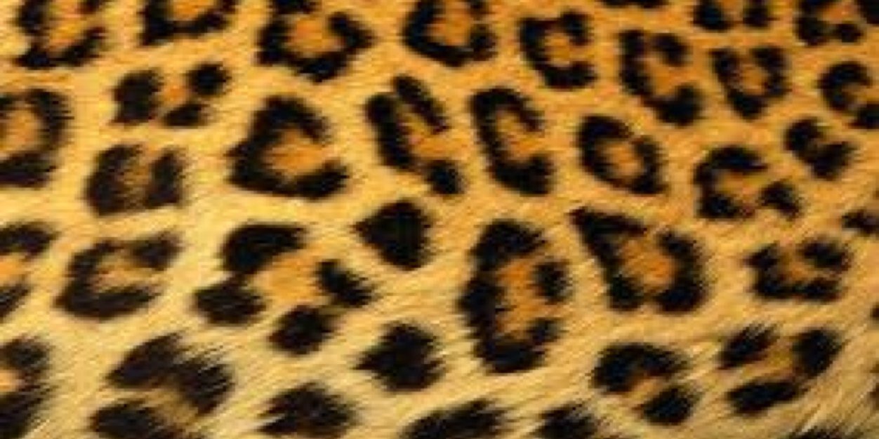 gmilfs's profile banner image