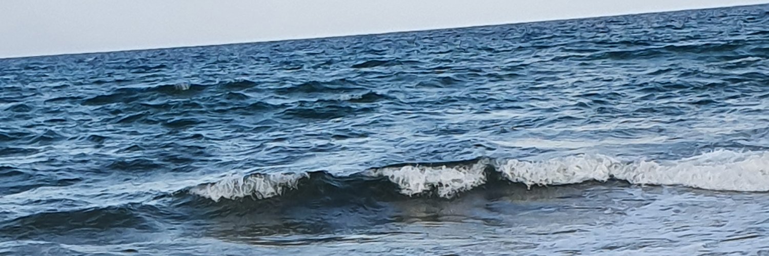Sipotoon's profile banner image
