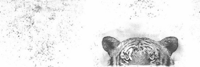 eeevansss's profile banner image