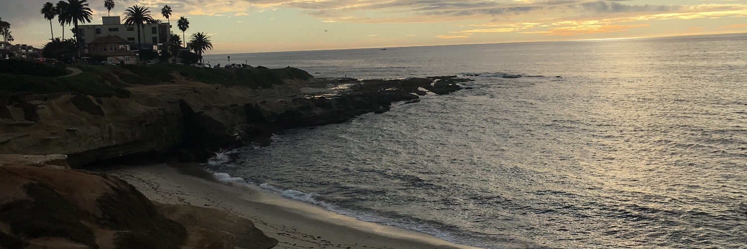 Steve Goldstein banner