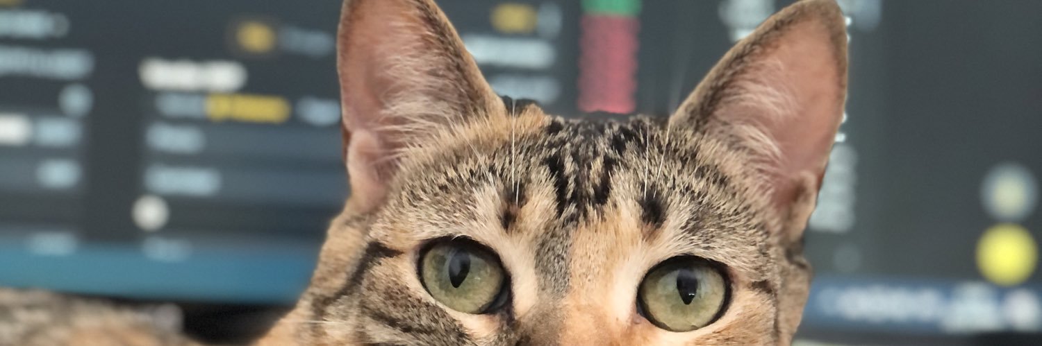 chin0rev's profile banner image