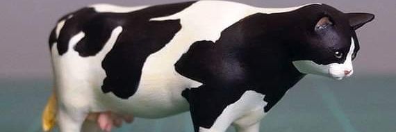 _GoBrandonGo_'s profile banner image
