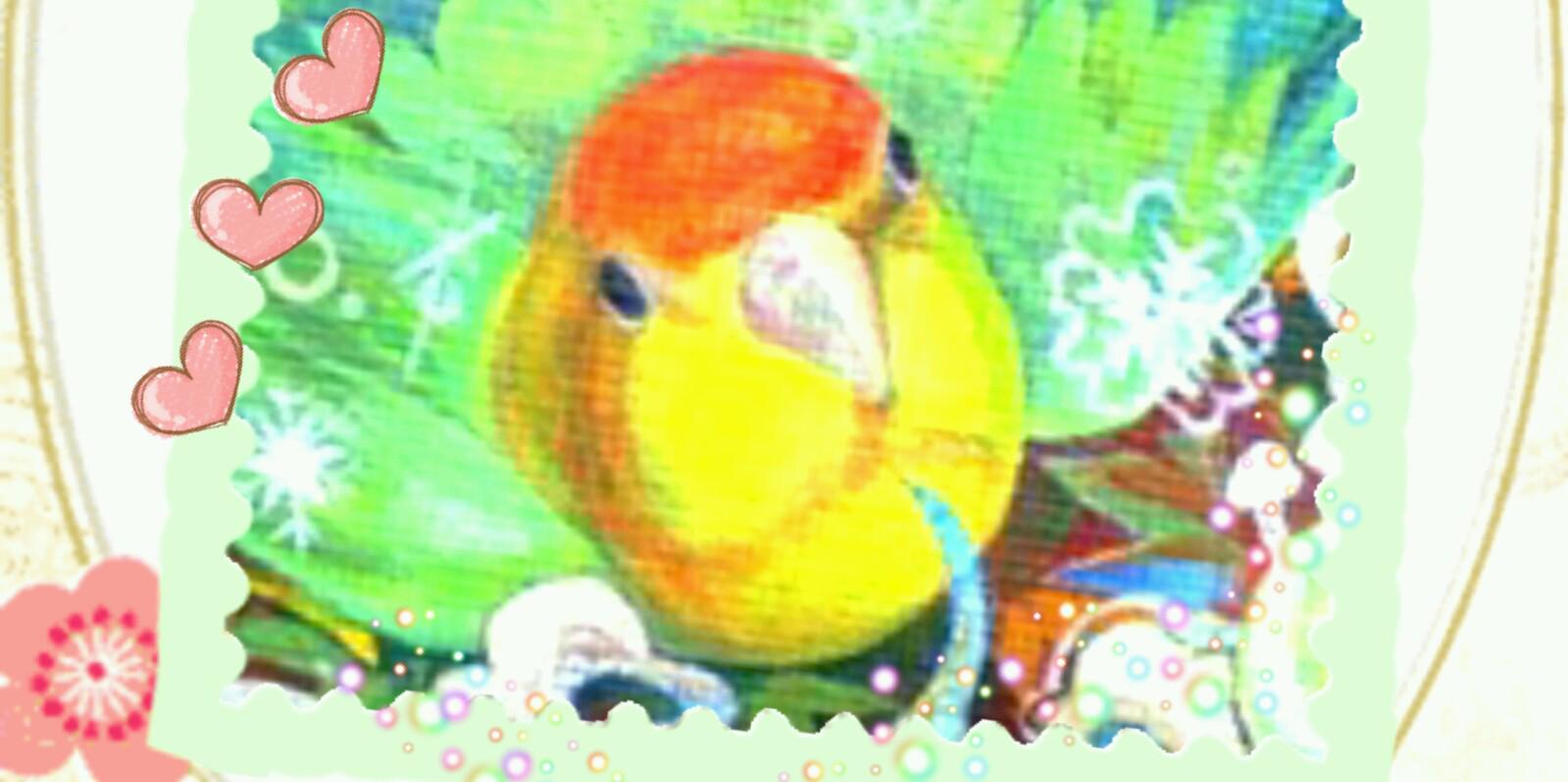 tomato_neko's profile banner image