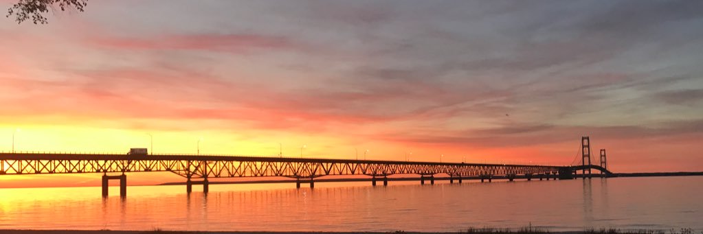 Chelsey Sneed banner