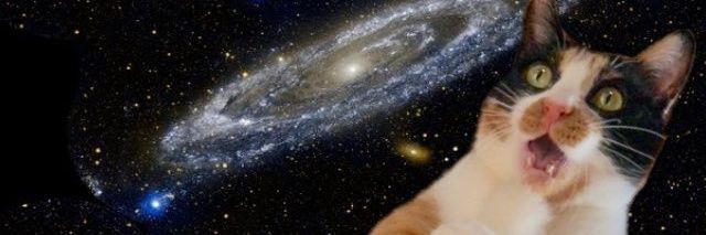 kbys6338's profile banner image