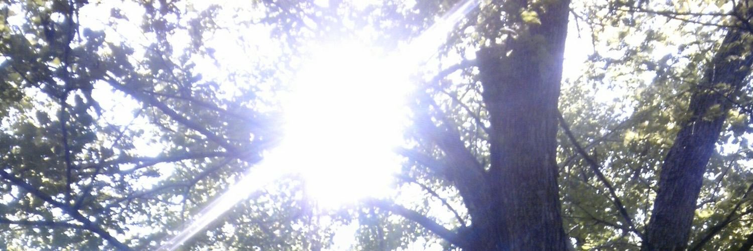 ラビ banner
