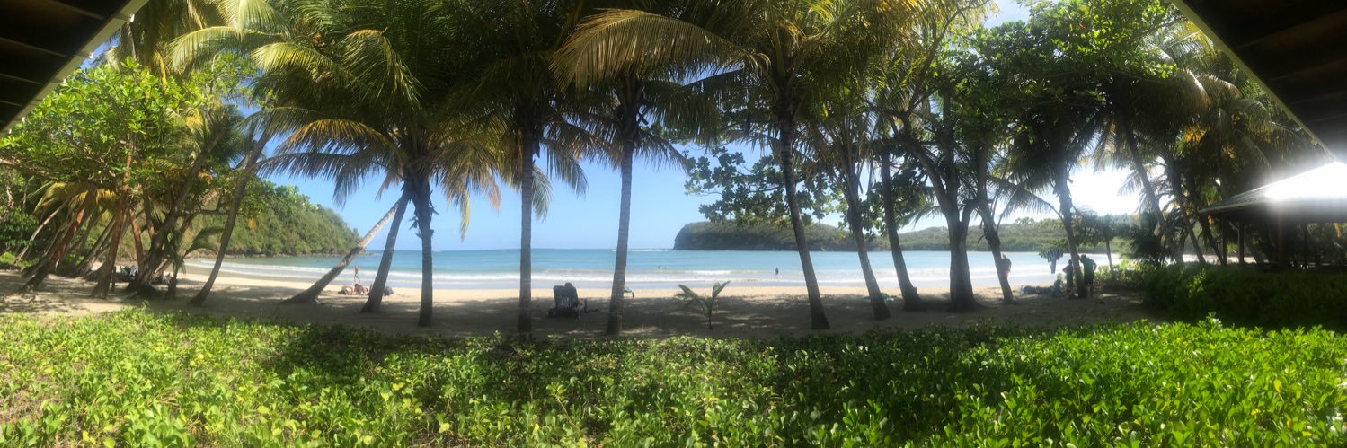 Catherine McCarthy MD, FAAFP banner