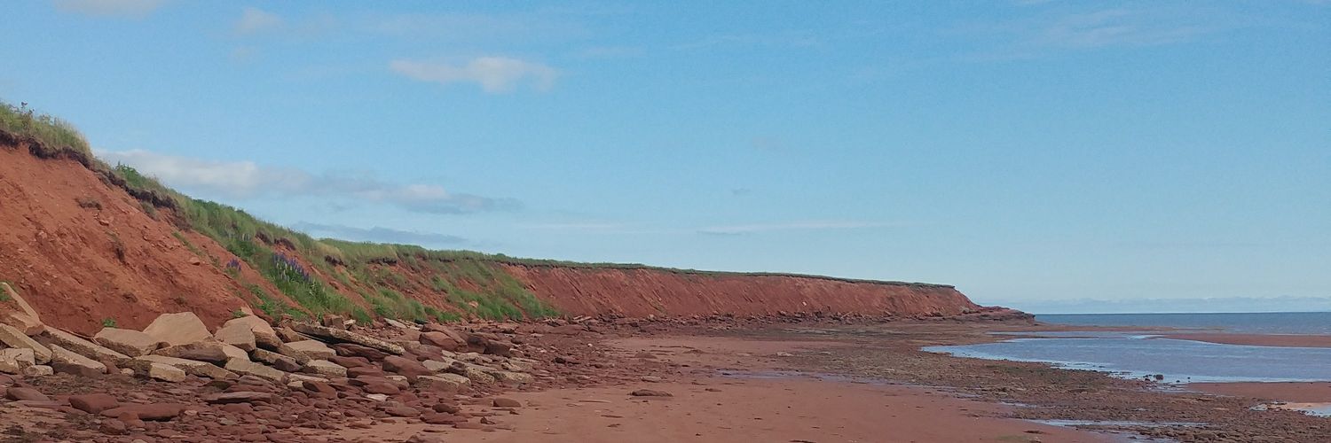 RachelDawn68's profile banner image