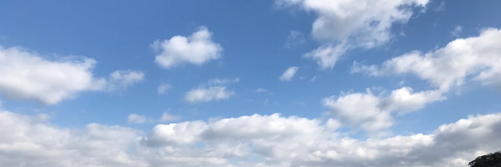 miina_3737's profile banner image