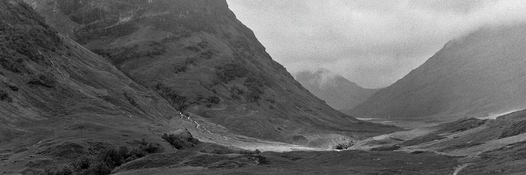 S. W. Mitchell Capital banner