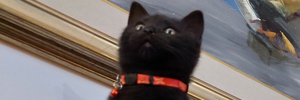 duteodor1 Profile Banner