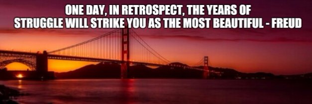 socialliberal1's profile banner image