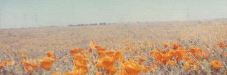 ohminsan's profile banner image